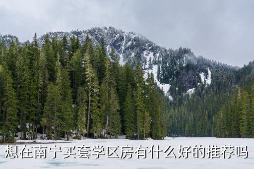 想在南宁买套学区房有什么好的推荐吗