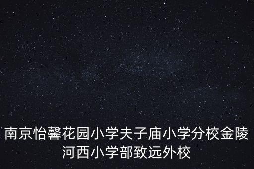 南京怡馨花园小学夫子庙小学分校金陵河西小学部致远外校
