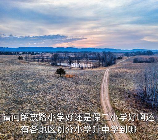 请问解放路小学好还是保二小学好啊还有各地区划分小学升中学到哪