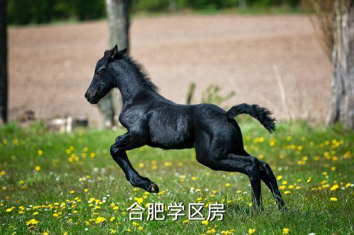 合肥学区房