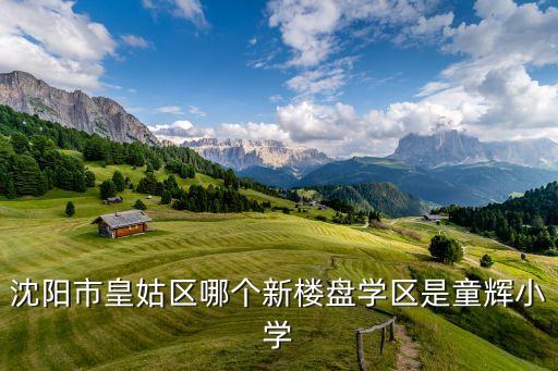 沈阳市皇姑区哪个新楼盘学区是童辉小学