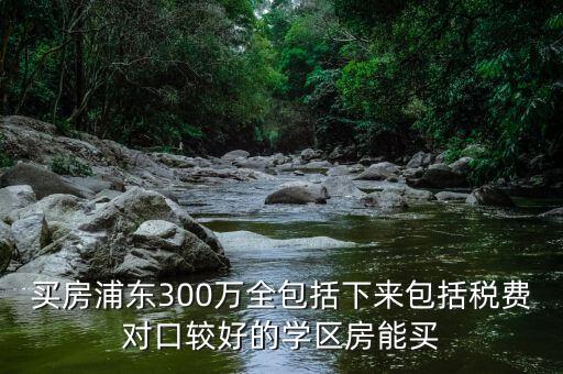 买房浦东300万全包括下来包括税费对口较好的学区房能买
