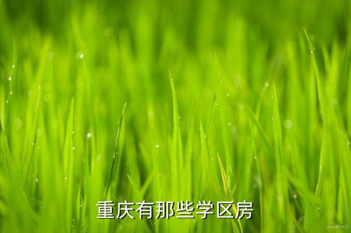 重庆有那些学区房