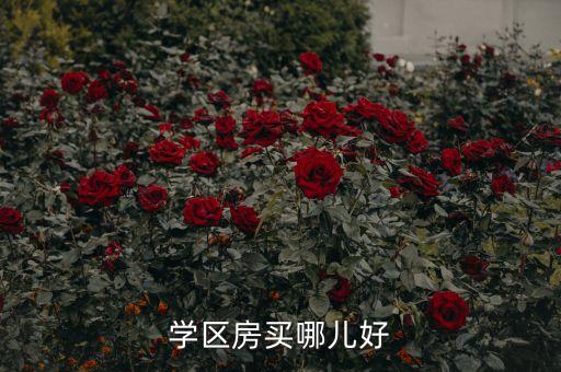 环小四中学区房哪个好，想在成都买一套中学小学学区房哪里的比较好