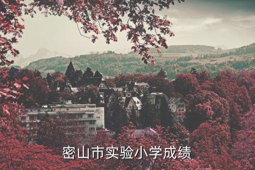密山市实验小学成绩