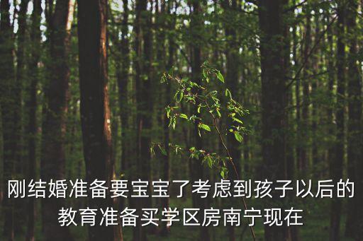 刚结婚准备要宝宝了考虑到孩子以后的教育准备买学区房南宁现在