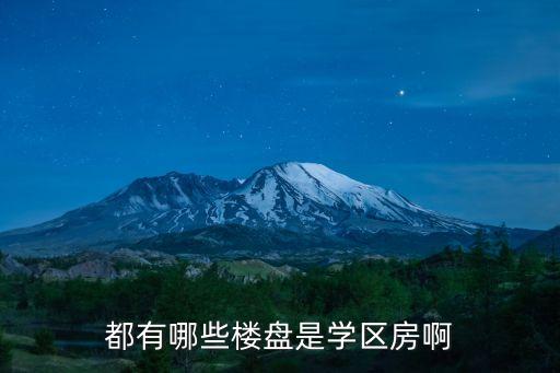 都有哪些楼盘是学区房啊