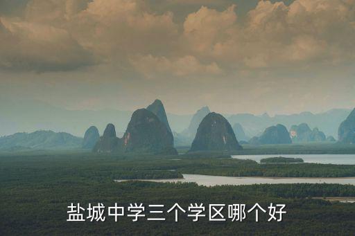 盐城中学三个学区哪个好