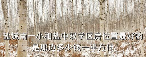 盐城南一小和盐中双学区房位置最好的是那边多少钱一平方什