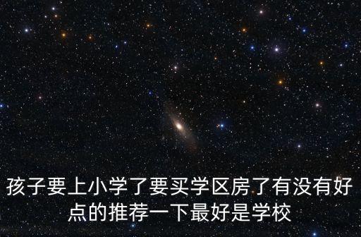 孩子要上小学了要买学区房了有没有好点的推荐一下最好是学校