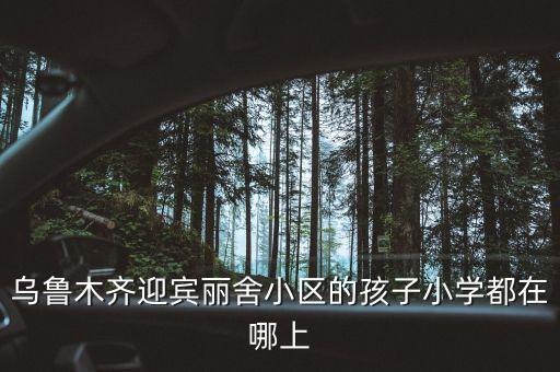乌鲁木齐迎宾丽舍小区的孩子小学都在哪上