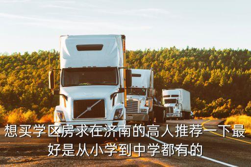 想买学区房求在济南的高人推荐一下最好是从小学到中学都有的