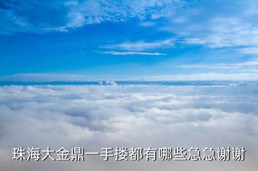 珠海大金鼎一手搂都有哪些急急谢谢