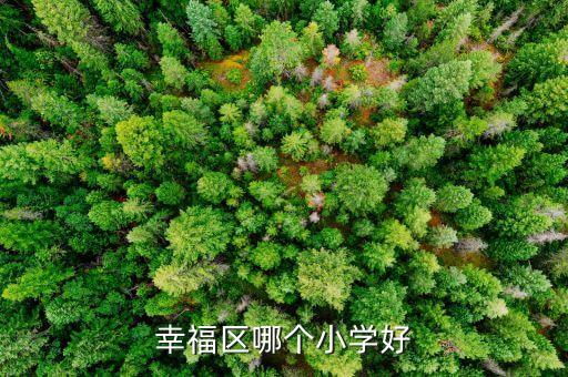 幸福区哪个小学好