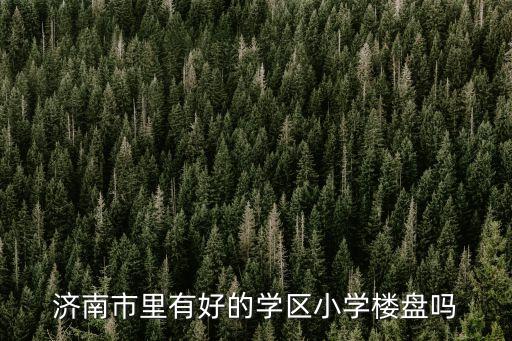 济南市里有好的学区小学楼盘吗