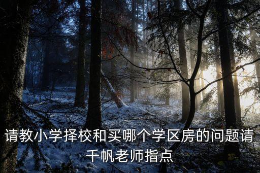 请教小学择校和买哪个学区房的问题请千帆老师指点