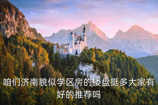 咱们济南貌似学区房的楼盘挺多大家有好的推荐吗