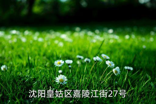 沈阳皇姑区嘉陵江街27号