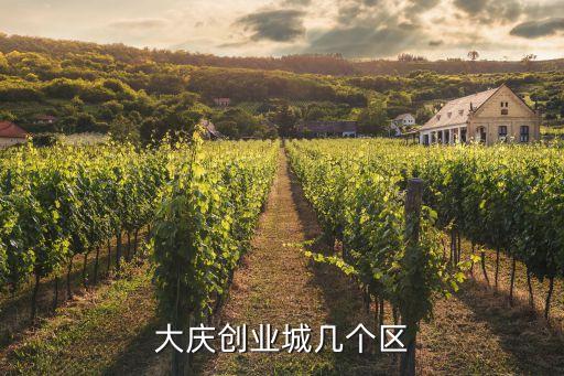 大庆创业城几个区