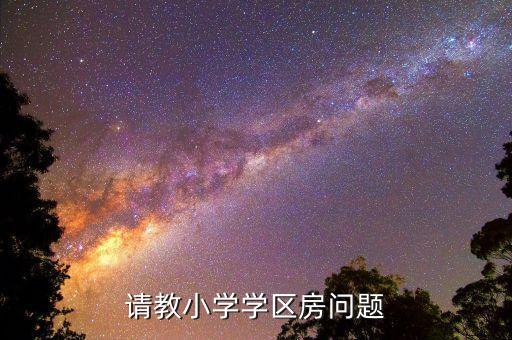 请教小学学区房问题