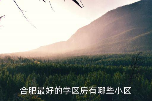 合肥最好的学区房有哪些小区