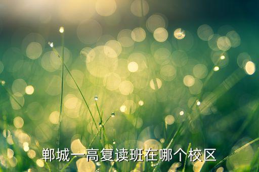 郸城一高复读班在哪个校区