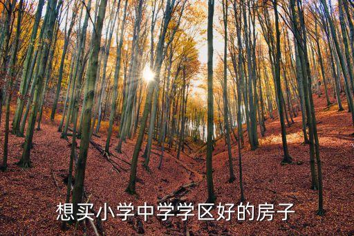 鞍山小区和学区房哪个好，想买小学中学学区好的房子