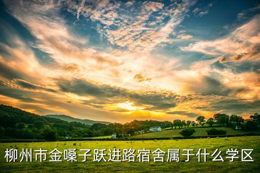 跃进街是哪个学区房，柳州市金嗓子跃进路宿舍属于什么学区