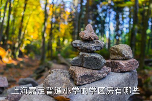 上海嘉定普通小学的学区房有哪些