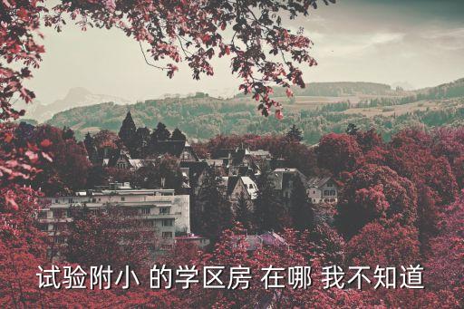试验附小 的学区房 在哪 我不知道