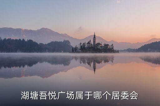 湖塘吾悦广场属于哪个居委会