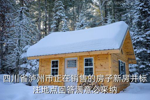 四川省泸州市正在销售的房子新房并标注地点回答满意必采纳