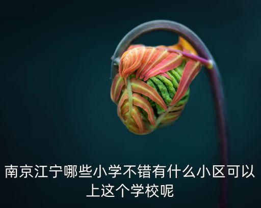 南京江宁哪些小学不错有什么小区可以上这个学校呢
