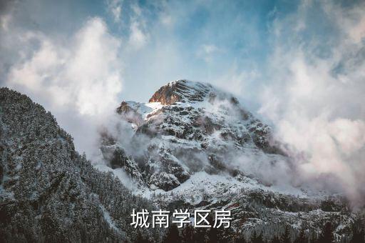 城南学区房