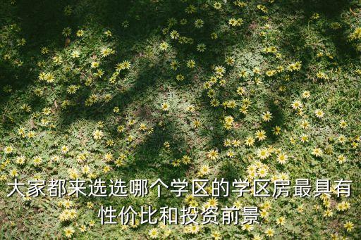 大家都来选选哪个学区的学区房最具有性价比和投资前景