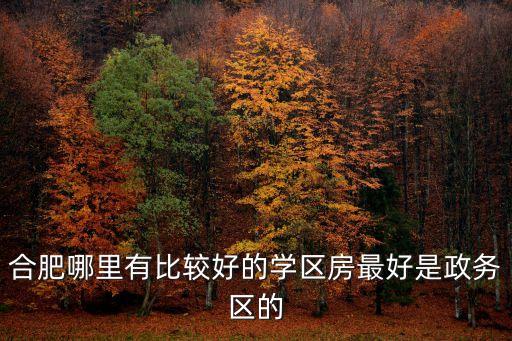 合肥哪里有比较好的学区房最好是政务区的