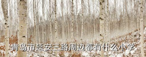 青岛市延安三路周边都有什么小学