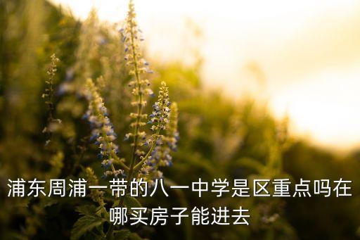 浦东周浦一带的八一中学是区重点吗在哪买房子能进去