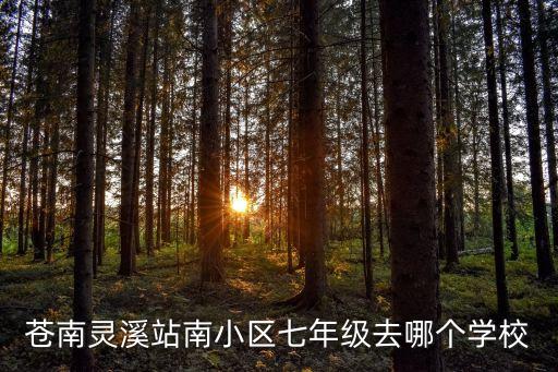 苍南灵溪站南小区七年级去哪个学校