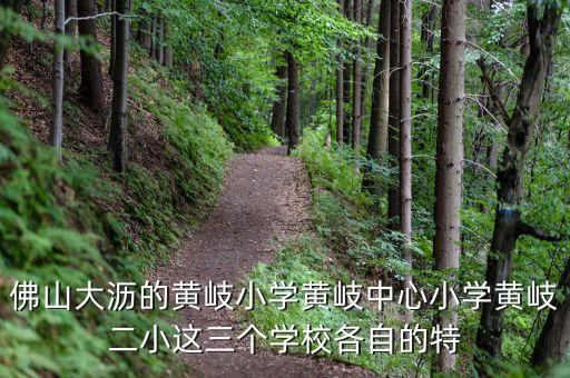 佛山大沥的黄岐小学黄岐中心小学黄岐二小这三个学校各自的特