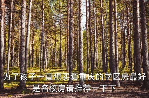 万正城学区房哪个学校好，请问一下想在成都一环买一套学区房哪个比较好