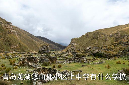 青岛龙湖悠山郡小区上中学有什么学校