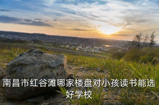 南昌市红谷滩哪家楼盘对小孩读书能选好学校