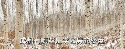 成都有哪些是学区房的楼盘