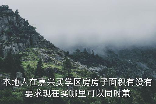 本地人在嘉兴买学区房房子面积有没有要求现在买哪里可以同时兼