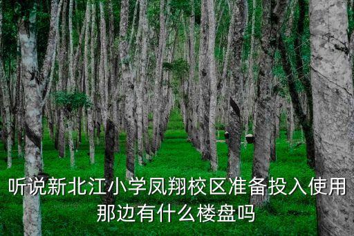 听说新北江小学凤翔校区准备投入使用那边有什么楼盘吗