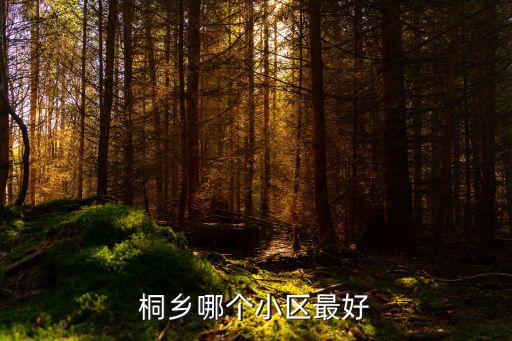 桐乡哪个小区最好
