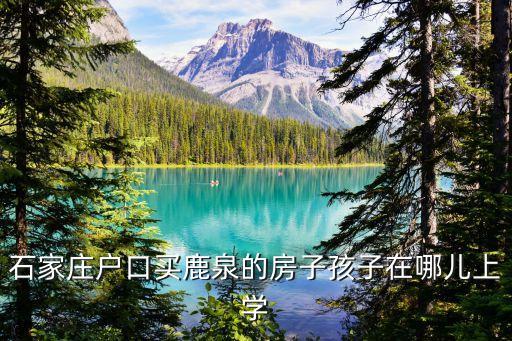石家庄户口买鹿泉的房子孩子在哪儿上学