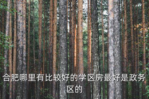 合肥市区小学学区房有哪些，合肥市南门小学新学区房有哪些小区