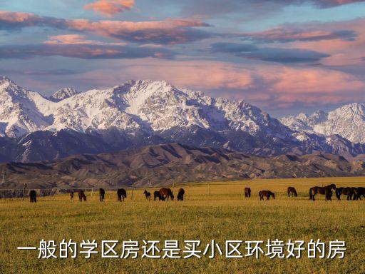 小区环境和学区房哪个重要，这种情况下买房应该更看重住房环境还是学区房呢